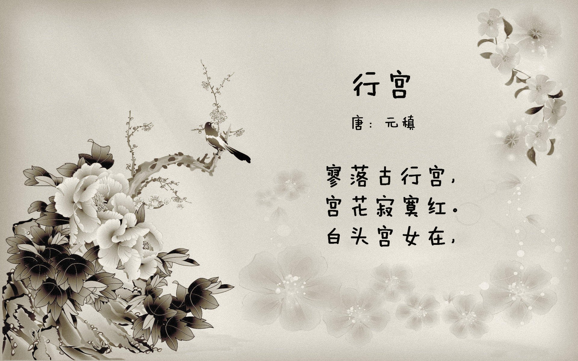 荷兰引爆亚平宁！巴雷拉，一座沉默的高塔